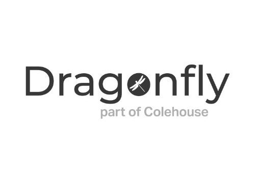 Dragonfly Holdings